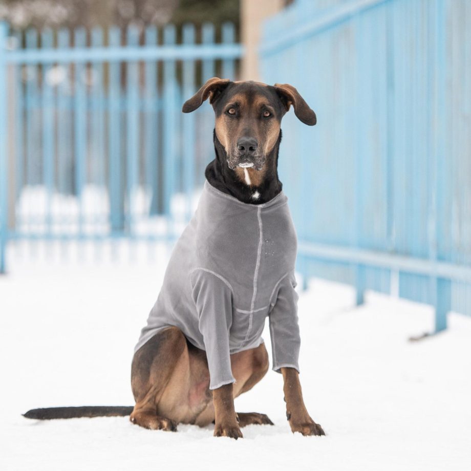 GF Pet Gondola Base Layer for Dogs