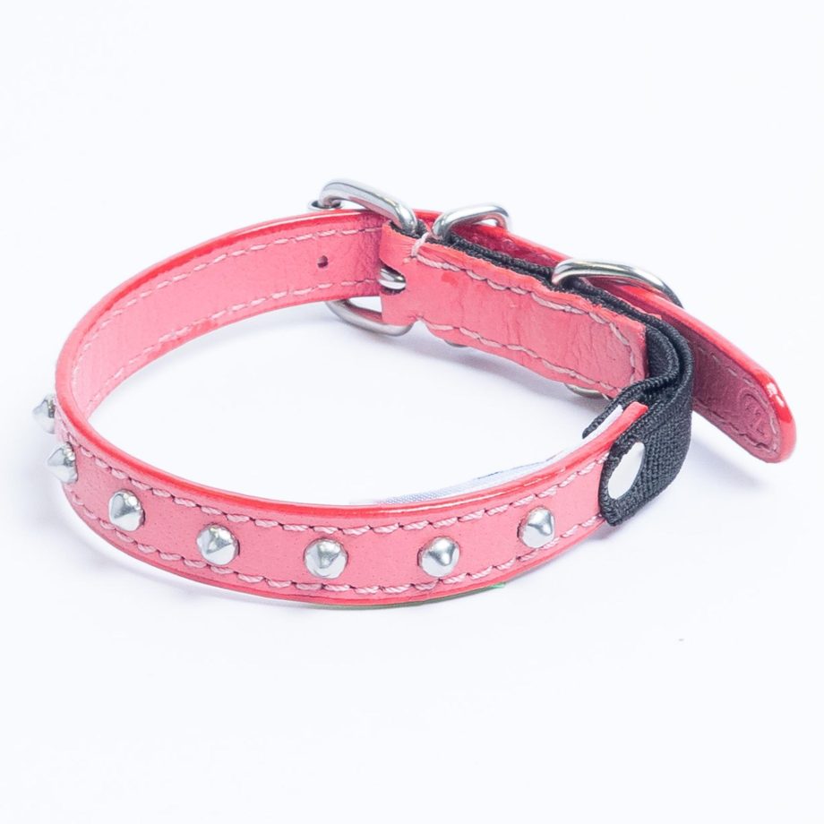 Studded Cat Collar by Angel