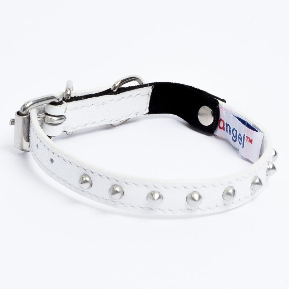 Studded Cat Collar by Angel