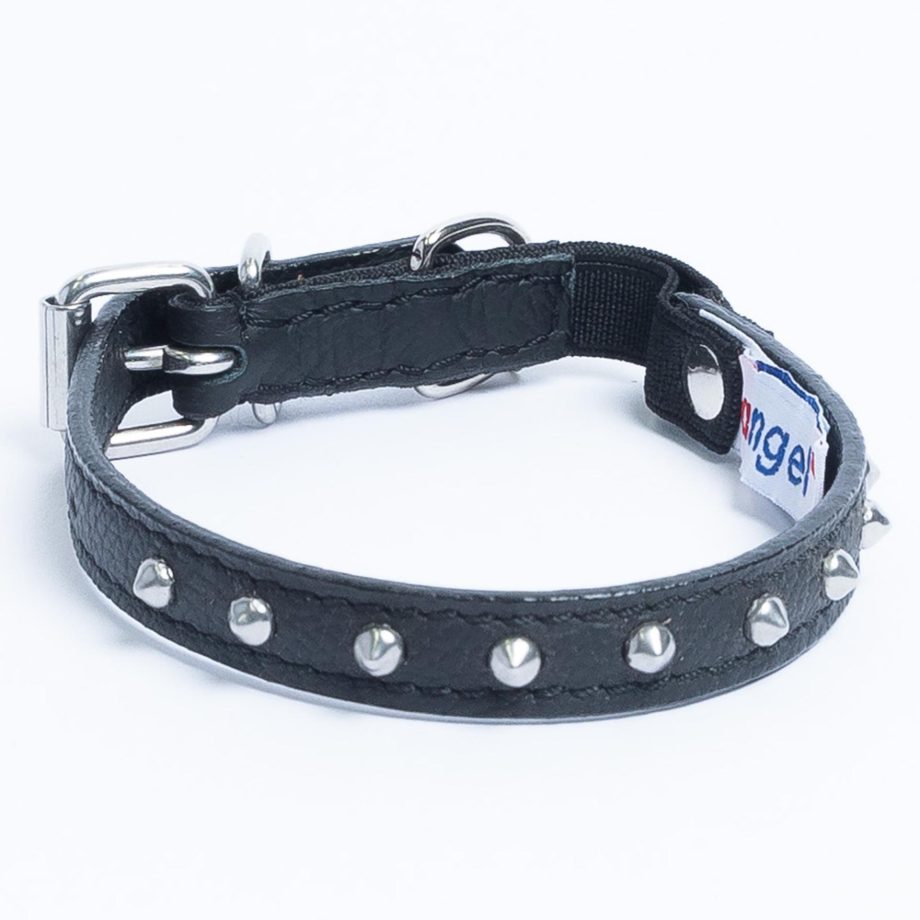 Studded Cat Collar by Angel