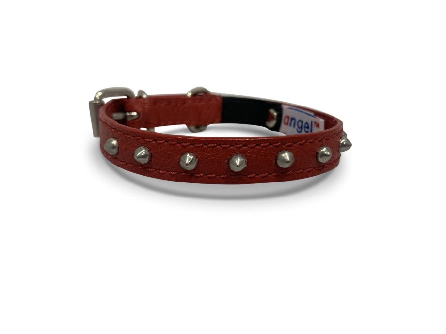 Studded Cat Collar by Angel