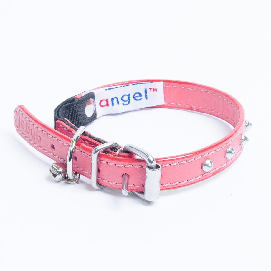 Studded Cat Collar by Angel