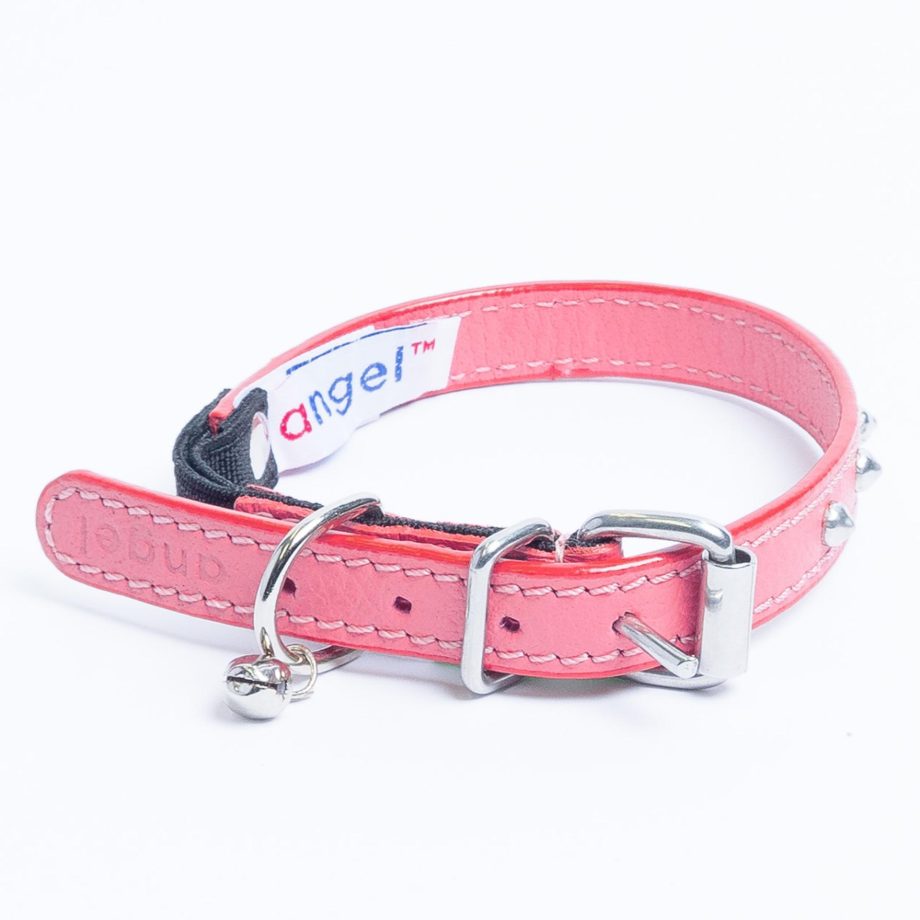 Studded Cat Collar by Angel