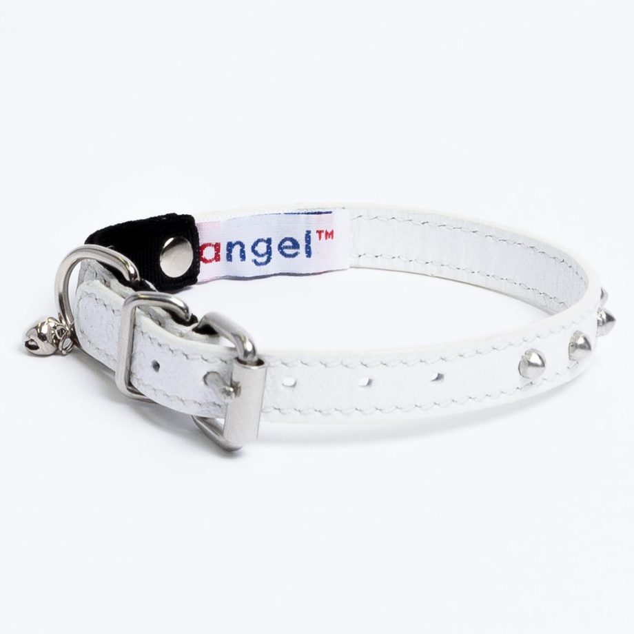 Studded Cat Collar by Angel