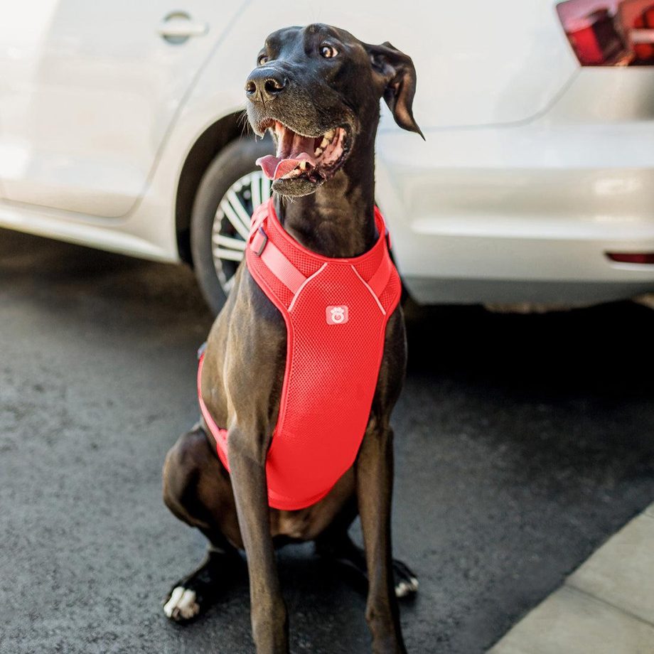 GF Pet Travel Harness