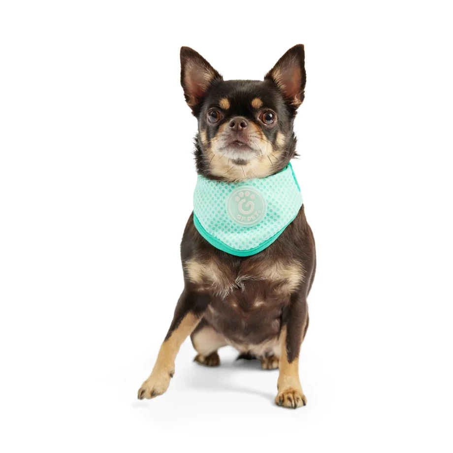 ICE BAND - Dog Cooling Bandana