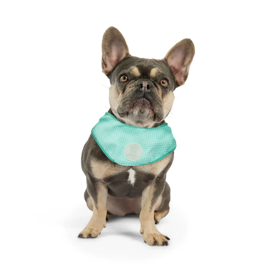 ICE BAND - Dog Cooling Bandana